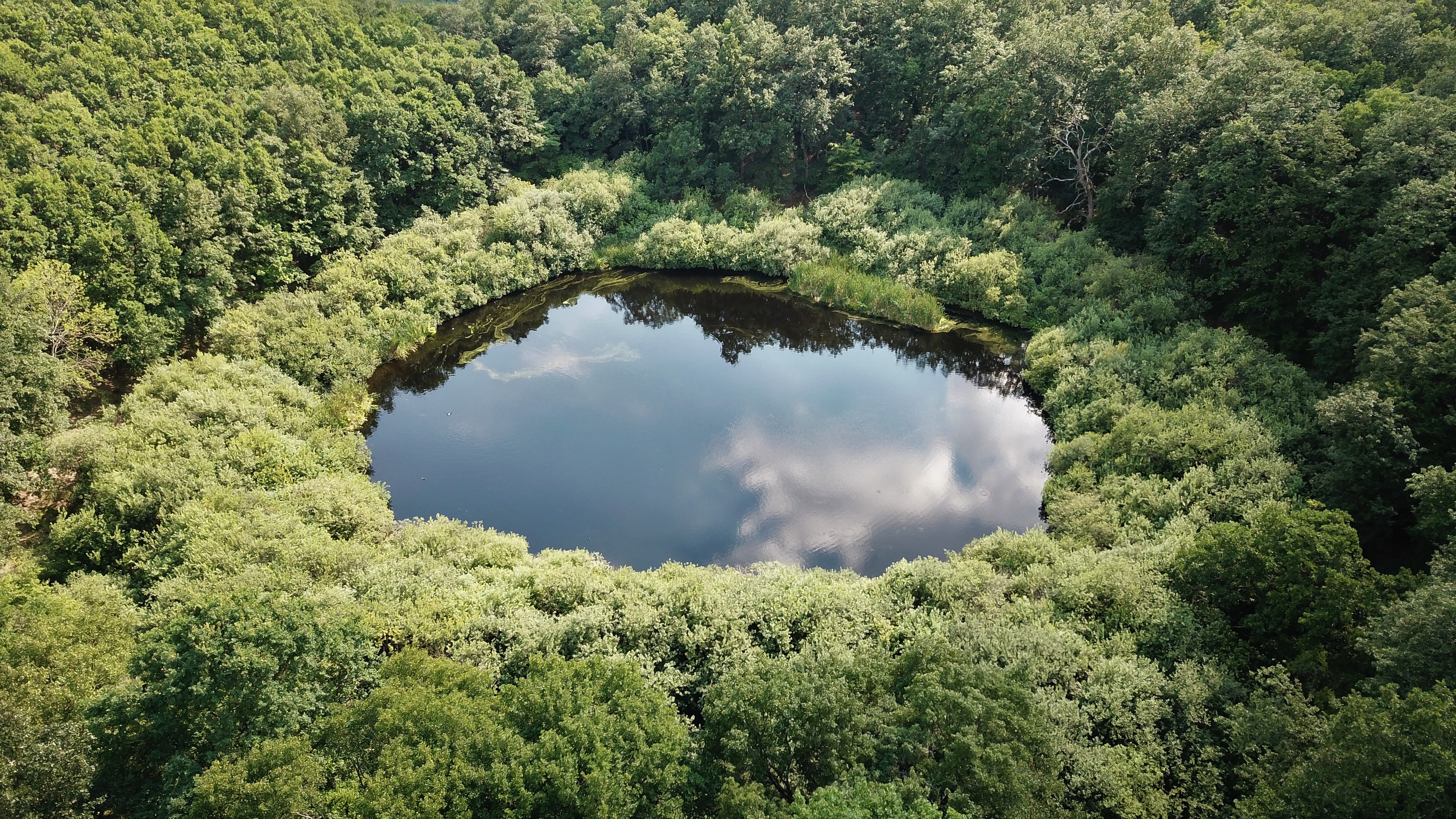 1. Egerbaktai láptavak.jpg